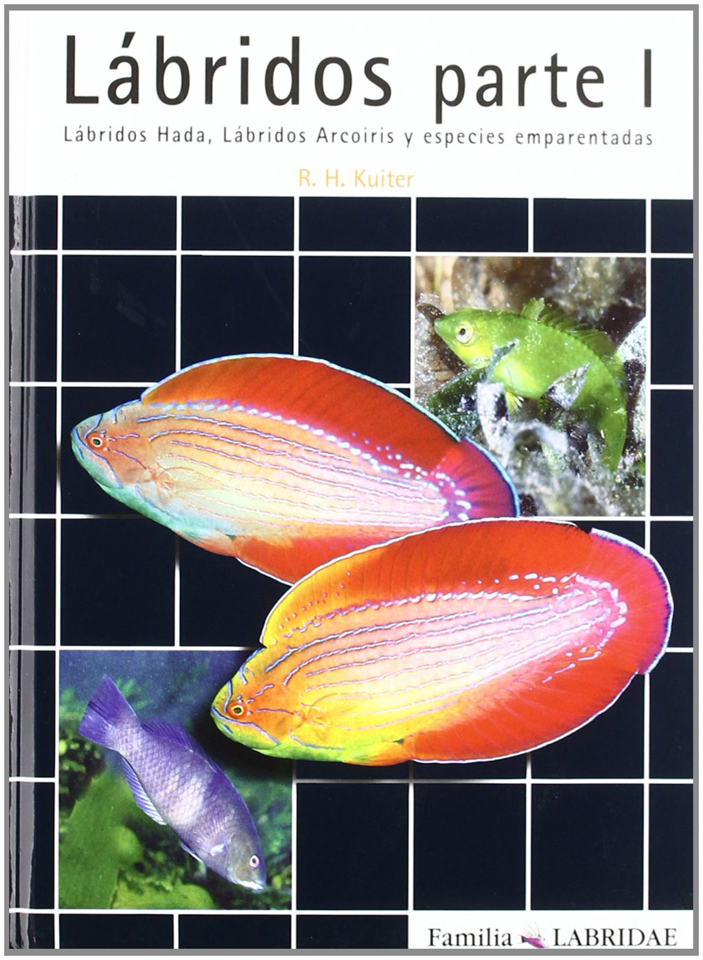 LÁBRIDOS PARTE 1. LÁBRIDOS HADA, LÁBRIDOS ARCOIRIS Y ESPECIES EMPARENTADAS 1