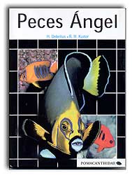 PECES ÁNGEL 1