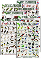 COSTA RICA FIELD GUIDE. SET OF 7 GUIDES 1