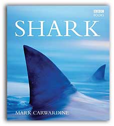 SHARK. WILDLIFE IN DANGER