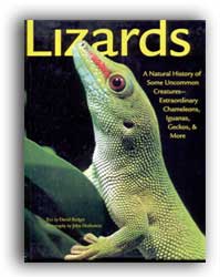 LIZARDS. A NATURAL HISTORY OF SOME UNCOMMON CREATURES- EXTRAORDINARY CHAMELEONS, IGUANAS, GECKOS, & MORE