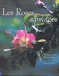 LES ROSES SAUVAGES 1