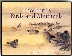 THORBURN'S BIRDS AND MAMMALS 1