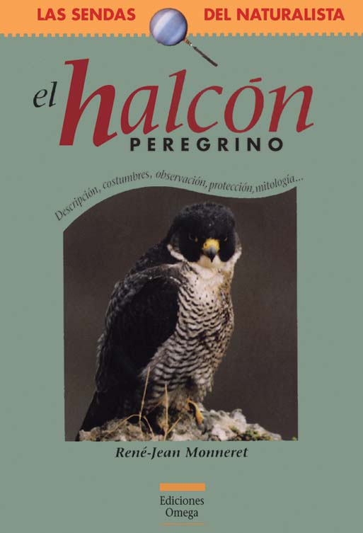 EL HALCÓN PEREGRINO                                                                                                                                    1
