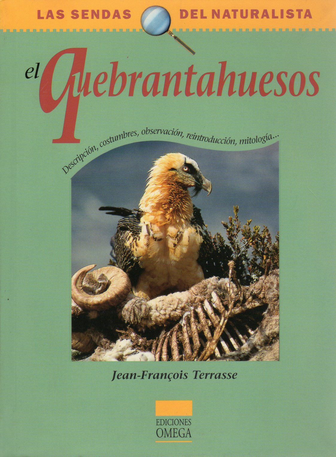 EL QUEBRANTAHUESOS 1
