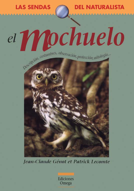 EL MOCHUELO