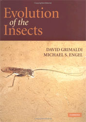 EVOLUTION OF THE INSECTS 1