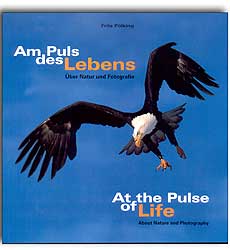 AT THE PULSE OF LIFE. ABOUT NATURE AND PHOTOGRAPHY