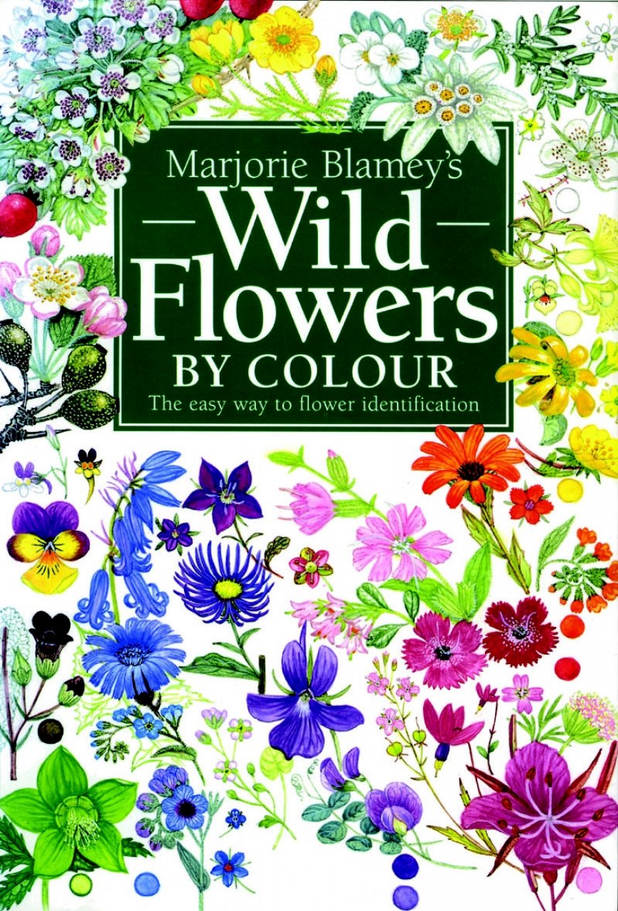 WILD FLOWERS BY COLOUR 1