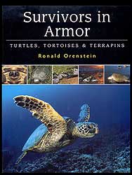 SURVIVORS IN ARMOR. TURTLES, TORTOISES & TERRAPINS