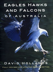 EAGLES, HAWKS AND FALCONS OF AUSTRALIA 1