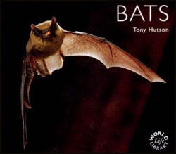 WORLDLIFE LIBRARY. BATS 1