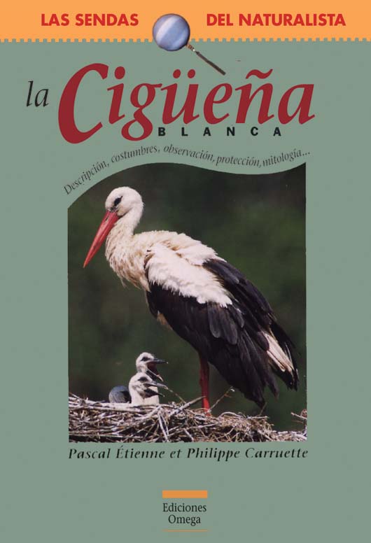 LA CIGÜEÑA BLANCA 1