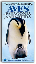 AVES DE PATAGONIA Y ANTÁRTIDA 1