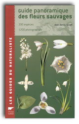 GUIDE PANORAMIQUE DES FLEURS SAUVAGES 1