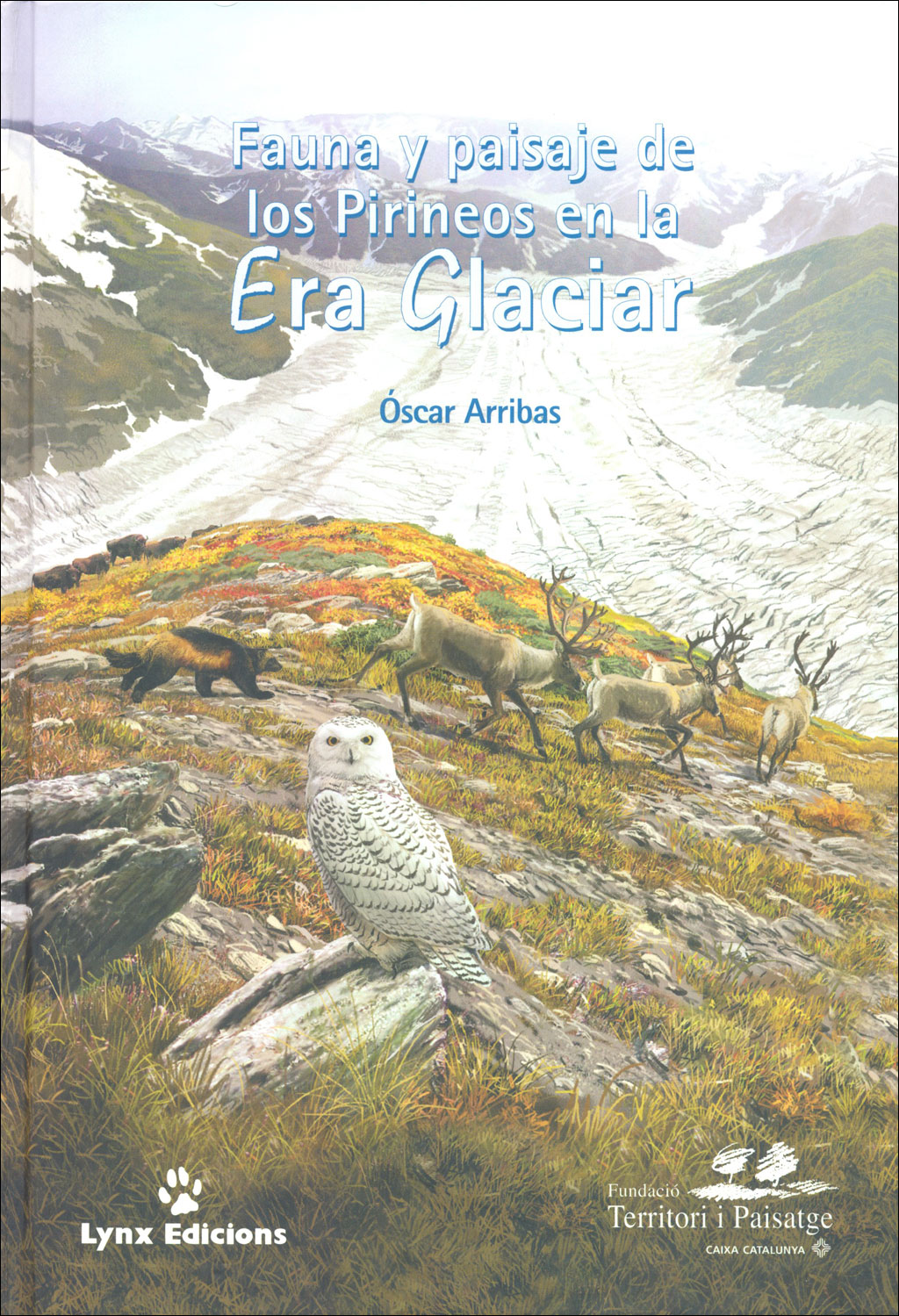 FAUNA Y PAISAJE DE LOS PIRINEOS EN LA ERA GLACIAR 1