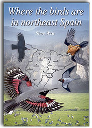 WHERE THE BIRDS ARE IN NORTHEAST SPAIN 1