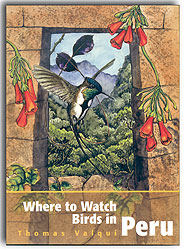 WHERE TO WATCH BIRDS IN PERU 1