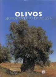 OLIVOS MONUMENTALES DE ESPAÑA 1