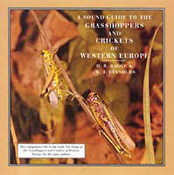 A SOUND GUIDE TO THE GRASSHOPPERS AND CRICKETS OF WESTERN EUROPE