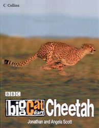 BBC BIG CAT DIARY CHEETAH .
