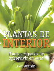 PLANTAS DE INTERIOR. PLANTAS CAPACES DE SOBREVIVIR EN CASA 1