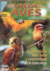 DVD LA VIDA DE LAS AVES