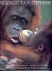 ORANGUTAN ODYSSEY 1