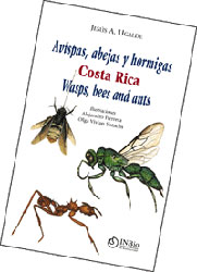 AVISPAS, ABEJAS Y HORMIGAS COSTA RICA /WASPS, BEES AND ANTS COSTA RICA