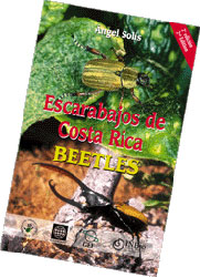 ESCARABAJOS DE COSTA RICA- BEETLES