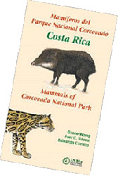 MAMÍFEROS DEL PARQUE NACIONAL CORCOVADO COSTA RICA - MAMMALS OF CORCOVADO NATIONAL PARK 1