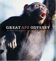 GREAT APE ODYSSEY