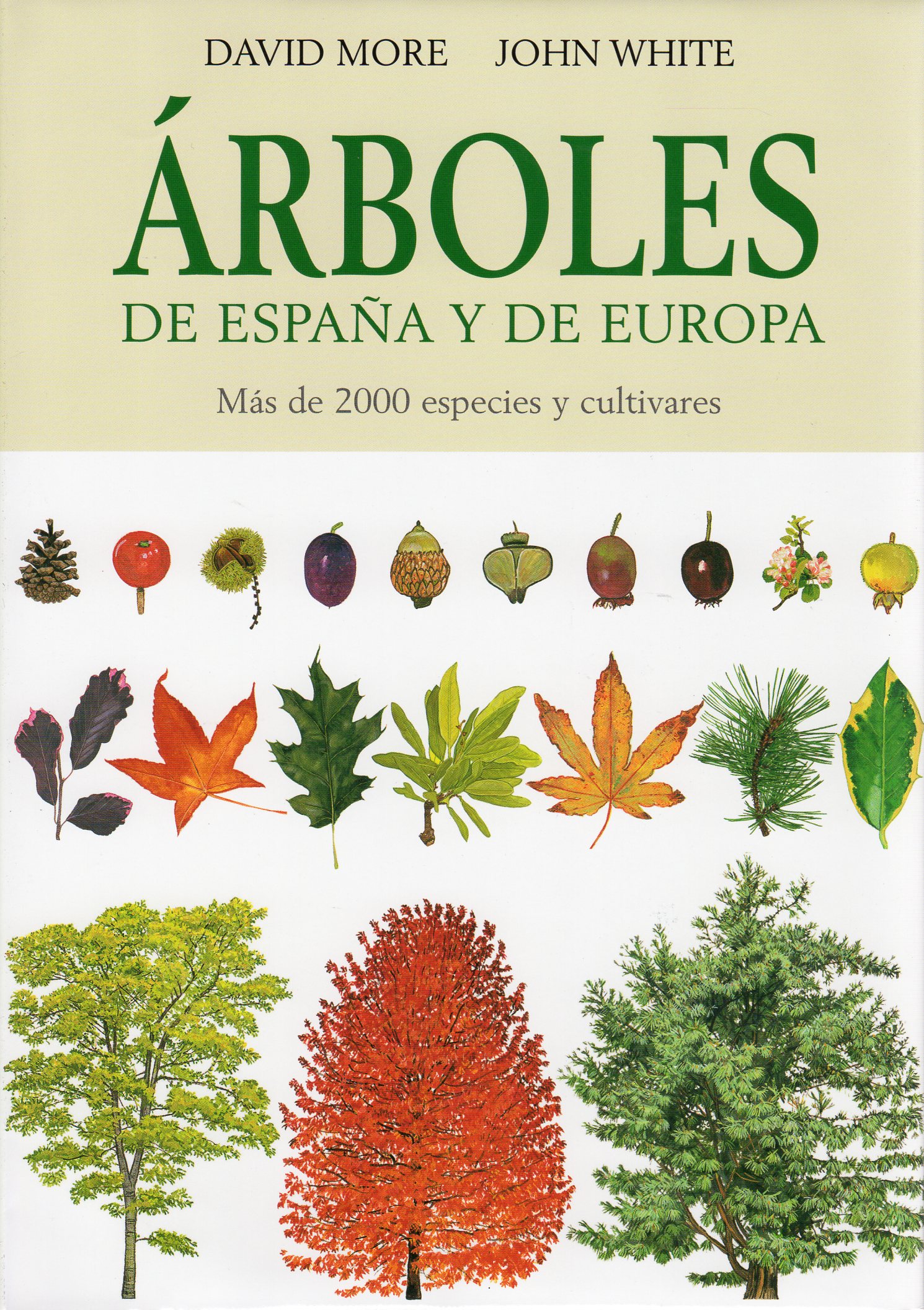 ÁRBOLES DE ESPAÑA Y DE EUROPA 1