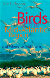 BIRDS OF THE MID-ATLANTIC REGION AND WHERE TO FIND THEM 1