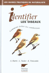 IDENTIFIER LES OISEAUX. COMMENT ÉVITER LES CONFUSIONS 1