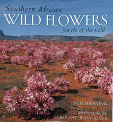 SOUTHERN AFRICAN WILDFLOWERS. JEWELS OF THE VELD