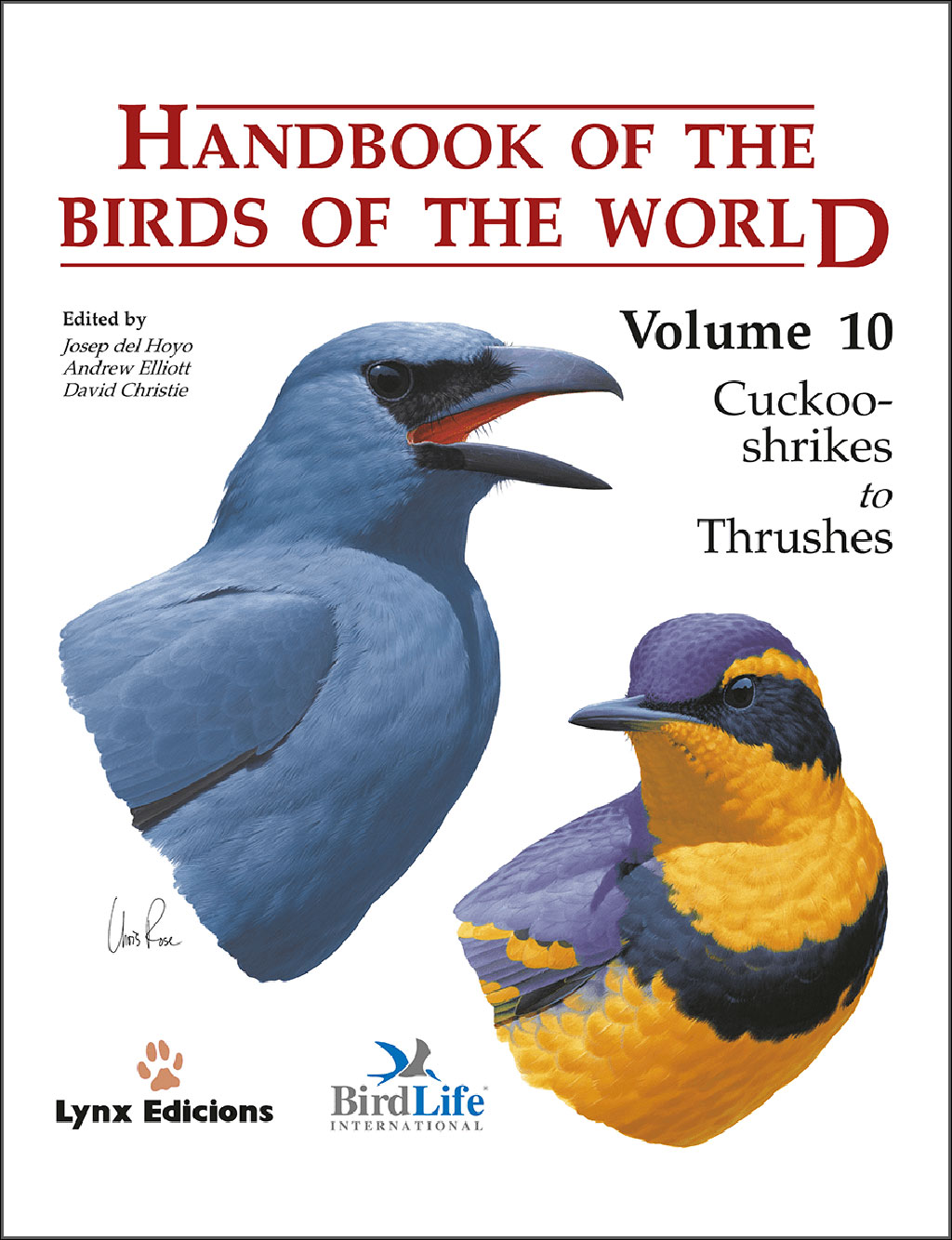 HANDBOOK OF THE BIRDS OF THE WORLD, VOL. 10. CUCKOO-SHRIKES TO THRUSHES