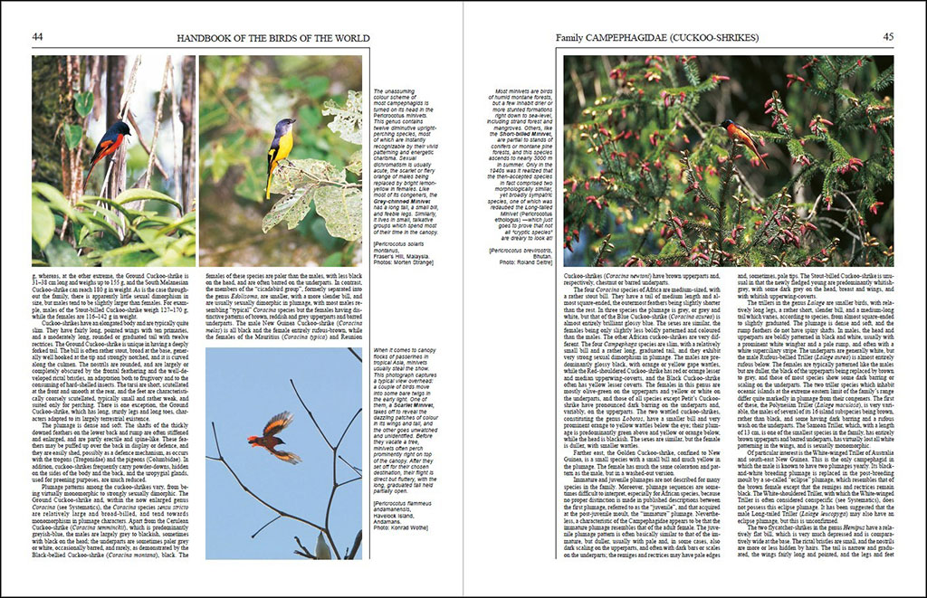 HANDBOOK OF THE BIRDS OF THE WORLD, VOL. 10. CUCKOO-SHRIKES TO THRUSHES 3