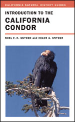 INTRODUCTION TO THE CALIFORNIA CONDOR 1