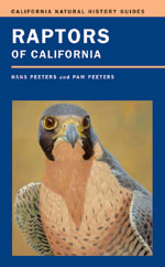 RAPTORS OF CALIFORNIA 1
