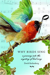 WHY BIRDS SING A JOURNEY INTO THE MYSTERY OF BIRD SONG