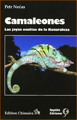 CAMALEONES. LAS JOYAS OCULTAS DE LA NATURALEZA