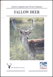 FALLOW DEER