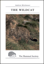 THE WILDCAT 1
