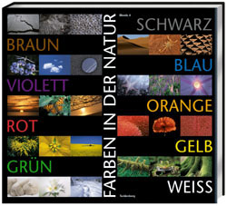 FARBEN IN DER NATUR