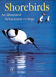 SHOREBIRDS. AN ILLUSTRATED BEHAVIOURAL ECOLOGY 1