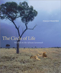 THE CIRCLE OF LIFE. WILDLIFE ON THE AFRICAN SAVANNAH 1