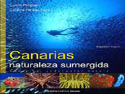 CANARIAS NATURALEZA SUMERGIDA 1