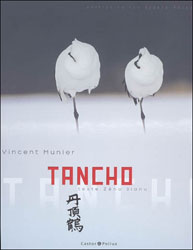 TANCHO 1