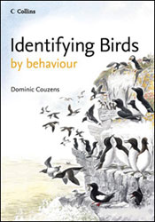 IDENTIFYING BIRDS BY BEHAVIOUR 1